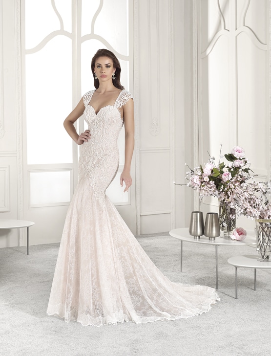 Robe de mariée Demetrios 814