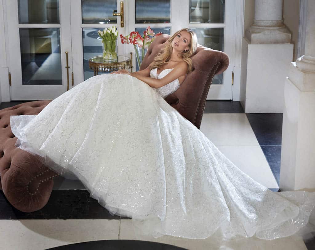 robe-de-mariee-demetriosplatinium-dp462-1