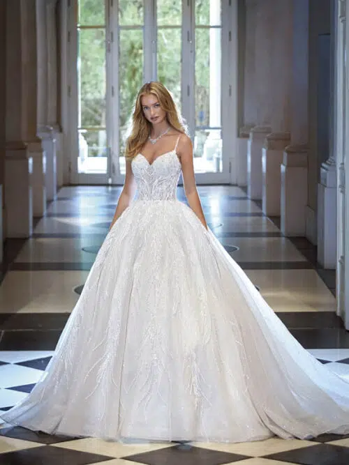 robe-de-mariee-demetriosplatinium-dp477-1