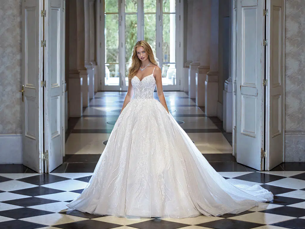 robe-de-mariee-demetriosplatinium-dp477-1