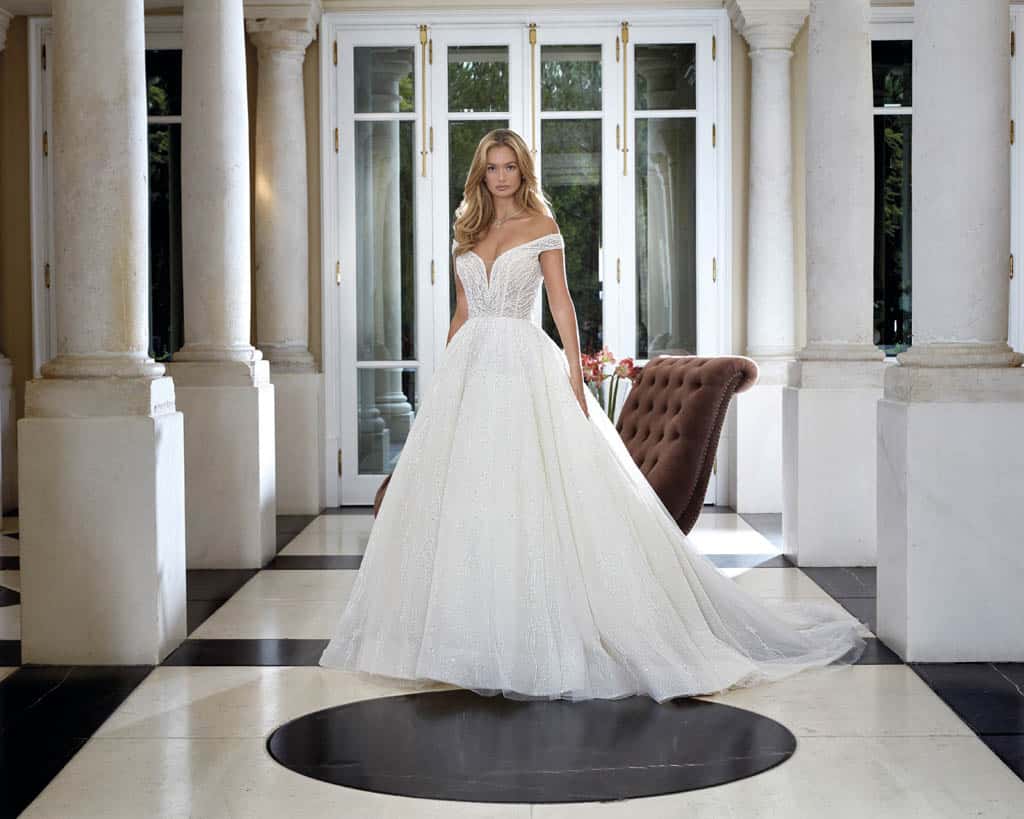 robe-de-mariee-demetriosplatinium-dp479-1
