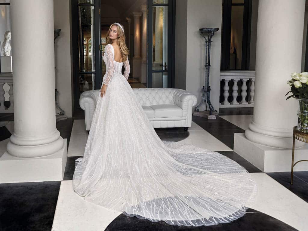 robe-de-mariee-demetriosplatinium-dp482-1