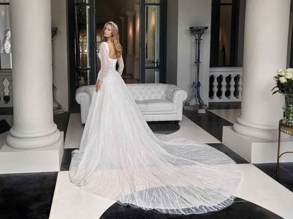 robe-de-mariee-demetriosplatinium-dp482-1