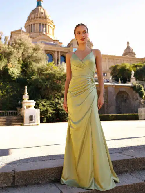 robe de cocktail 2024 r181l 1