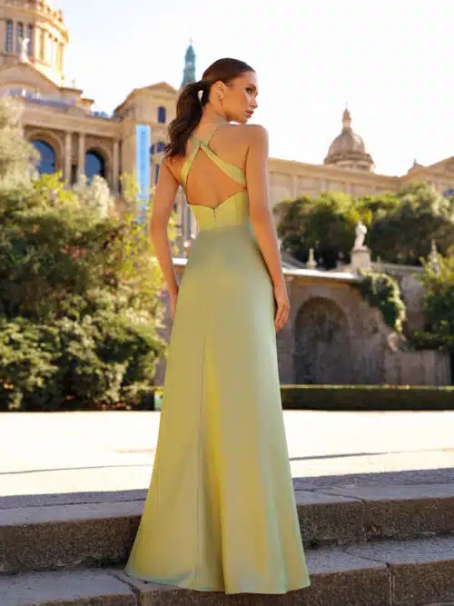 robe de cocktail 2024 r181l 2